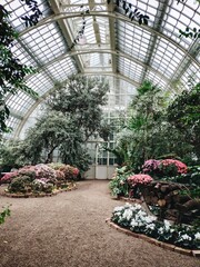 greenhouse with flowers
