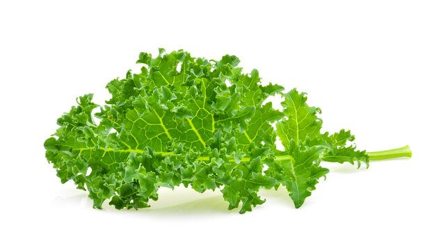 Kale Leaf Salad Vegetable Isolated On White Background