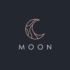 simple moon logo. elegant crescent moon and star logo design line icon vector in luxury style outline linear