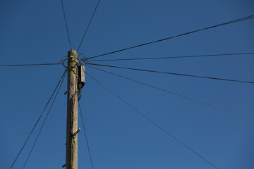 Fototapeta premium A telegraph pole set against a blue sky with wires going in every direction
