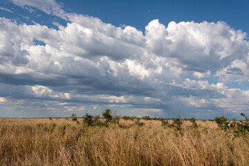 Orage, Nuages, Savane, Parc national Kruger, Afrique du Sud