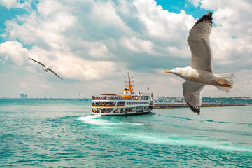 Seagulls flying in front of passenger ferry | Vapur sailing in the bosporus in a cloudy day in Istanbul.  Popular  old transportation vehicle in Istanbul. Blurry cityscape at the distance. - obrazy, fototapety, plakaty