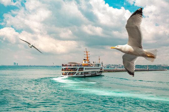 Seagulls flying in front of passenger ferry | Vapur sailing in the bosporus in a cloudy day in Istanbul.  Popular  old transportation vehicle in Istanbul. Blurry cityscape at the distance.