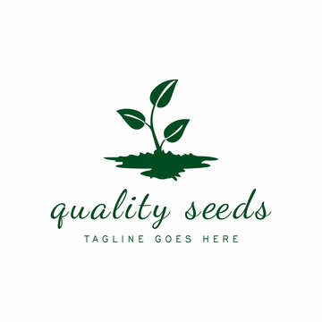 Superior seed business vector logo design. simple plant seed logo