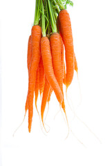Bund  Karotten mit Rübengrün auf weissem Hintergrund