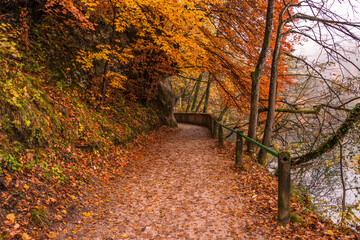 Fototapeta na wymiar Walk in the park among the autumn leaves