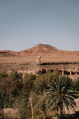 Eine kleine Moschee irgendwo in der Wüste von Marokko. Oase in der Wüste 1