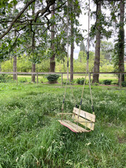 garden setting with a wooden swing hanging from a tree