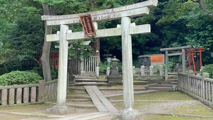 Fototapeta premium The stone tori gate of Japanese Shinto shrine, honorable landmark built by the 5th shogunate of Edo period “Tokugawa”, beside the main pagoda the hill is enshrined with various enlightenments. 2022/6