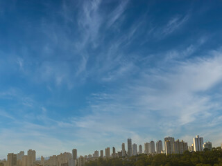 Fototapeta na wymiar Vista aérea do parque da aclimação em São Paulo, predios ao fundo