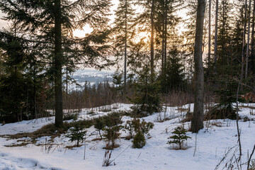 Huge snowy mountains with forest, rocks. Panorama on the top, aerial view. Remote lonely house in the mountains.