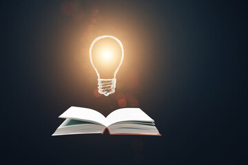 Education concept, studying, knowledge. Open book with lightbulb. Learning symbol. Copy space