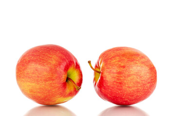 Two juicy red apples, close-up, isolated on a white background.