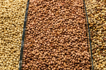 Hazelnuts and Pistachios