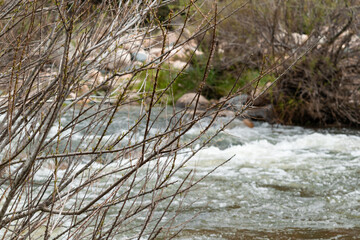 Corriente de agua en arroyo