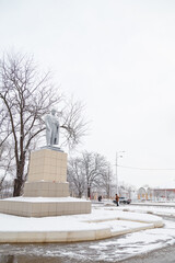 Taras Hryhorovych Shevchenko monument covered with snow at winter day with some trees on background