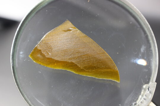 Cannabis Shatter