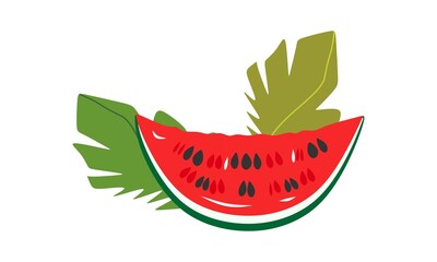  A slice of watermelon with seeds. The berry is sweet. Isolated on a white background.