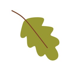 Oak leaf. Isolated on a white background.