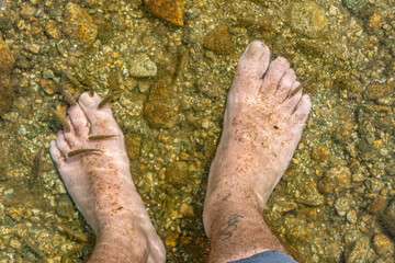 fish swimming between feet