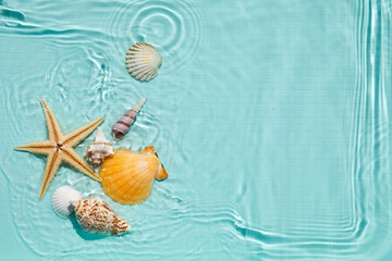 Starfish and seashell in water. Summer background. Summer time.
