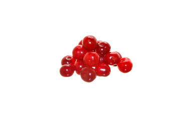 summer fruit isolated on white background