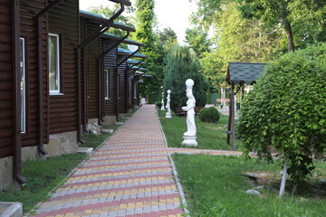 path in the garden