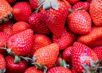 Fleshy and fresh strawberries in the market with vibrant colors.