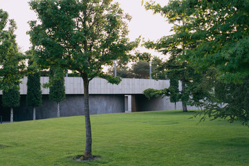 Summer landscape with green trees on green lawn with part of the amphitheater. Public landscape 'park Krasnodar' or 'Galitsky park'