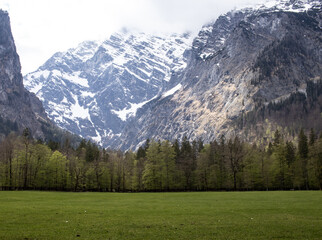 Grass in a valley on the alps 