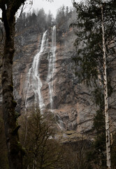 Fototapeta na wymiar View of a waterfall beyond the trees 