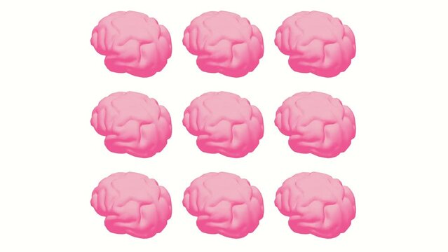 Human brain Anatomical Model. Motion Animation. Video available in 4K FullHD and HD render footage