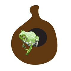 Green frog jumps from sack