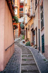 Fototapeta na wymiar Cozy narrow street in the Nemi city in Italy
