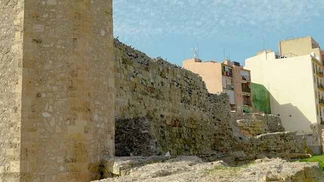 Pigeons Perching On the Roman Circus wall in Tarragona, Costa Dorada, Catalonia, Spain