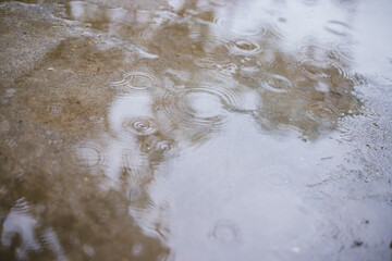 Raindrops fall into a puddle. Puddles on the concrete surface. The rainy season is autumn or spring. Cloudy day.