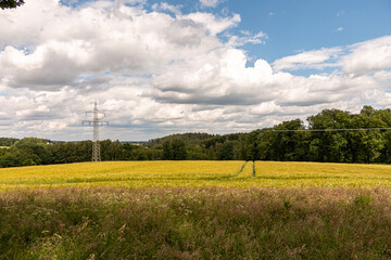 Fototapeta na wymiar Green energy landscape photo. High-voltage tower in the middle of a yellow German field