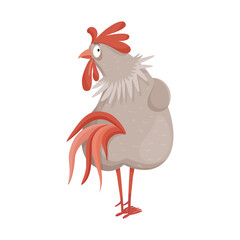 Funny illustrations of rooster and hen. Comic bird.