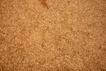background of wood sawdust and wood shavings