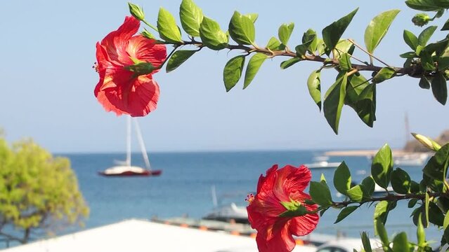 Greek Island View