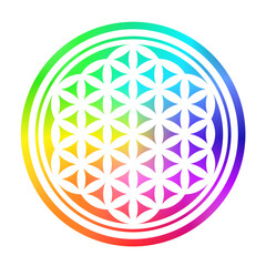 Flower Of Life with rainbow gradient colors.Geometrical figure multiple evenly-spaced,overlapping circles pattern, symmetrical structure of hexagon.Symbol sign.Sacred geometry.Mandala.Meditation. DIY