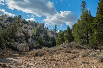 Lick Wash, a Canyon in the White Cliffs of  the Grand Staircase, Utah