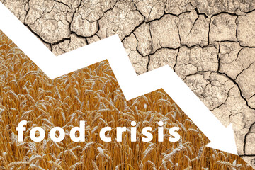 Food crisis. World problems with the supply of wheat. Shortage of flour and bread. Aggressive war of Russia in Ukraine. The threat of hunger. Reduced food supply. World scarcity concept.