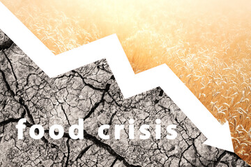 Food crisis. Russian aggression in Ukraine. World problems with the supply of wheat. Deficiency of...