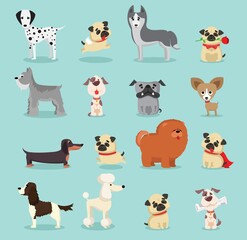 Obraz na płótnie Canvas Cute dogs collection. Vector illustration of cartoon different breeds dogs, such as alaskan malamute, corgi, samoyed, border collie, doberman pinscher and pug in flat style. Isolated on white.