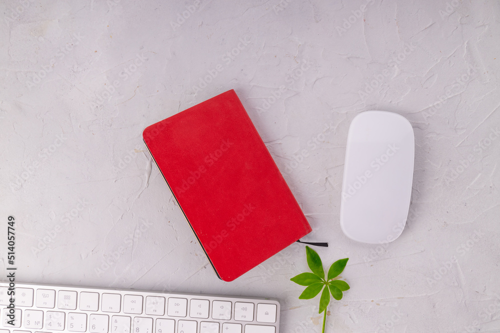 Wall mural white computer mouse and keyboard, red notepad with green branch on white background with copy space