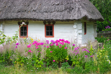 Authentic wooden farmhouse with thatched roof, 19th century. Skansen,  Kyiv, Ukraine. Flowers grow...