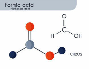 Formic Acid. Molecule Structure. Carbonous acid. Formylic acid. Hydrogen carboxylic acid.  vector illustration