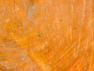 texture background of wood