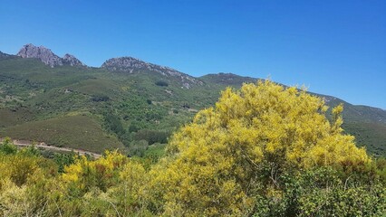 Montaña en la provincia de Ourense, Galicia